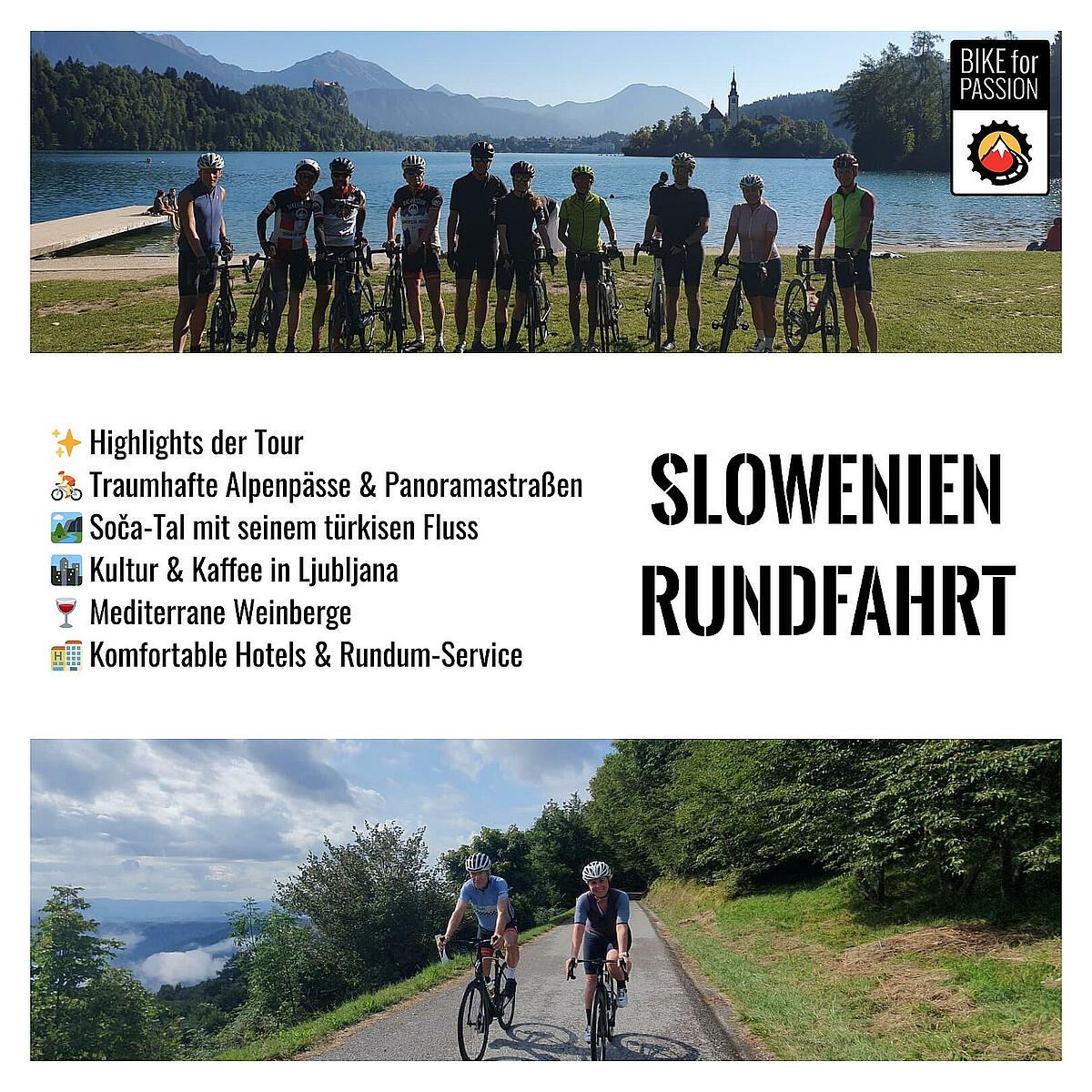 kuppelzelt partyzelt Multipavillon 6x9m Weiß – Jetzt bestellen bei Dancover Anzahl Zähne:54 Zähne What's the Best Gear ebay ebike US